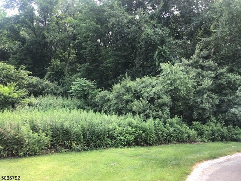 16 Lackawanna Drive - Photo 1