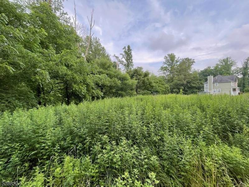 49 Northwood Rd Land - Photo 1