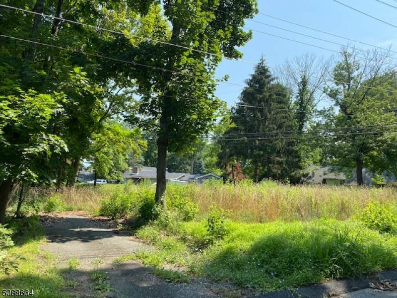 54 Maple Tree Ln - Photo 1