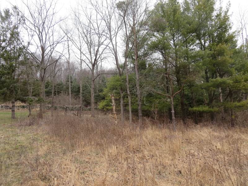 0 Pidgeon Hill Rd - Photo 1