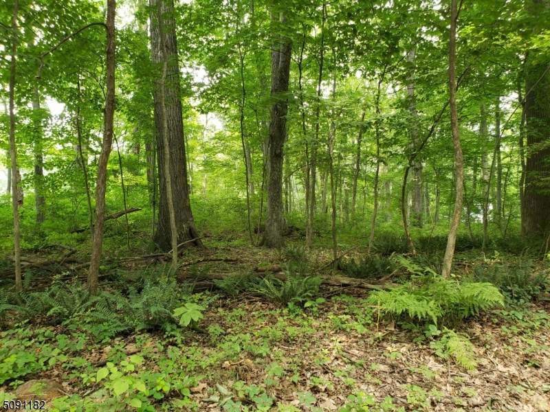 227 Shiloh Rd - Photo 1