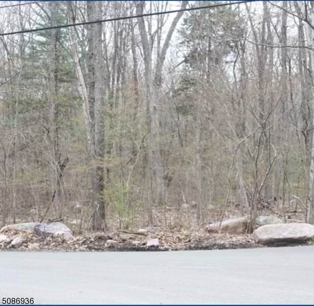 0 Mt Hope Rd - Photo 1