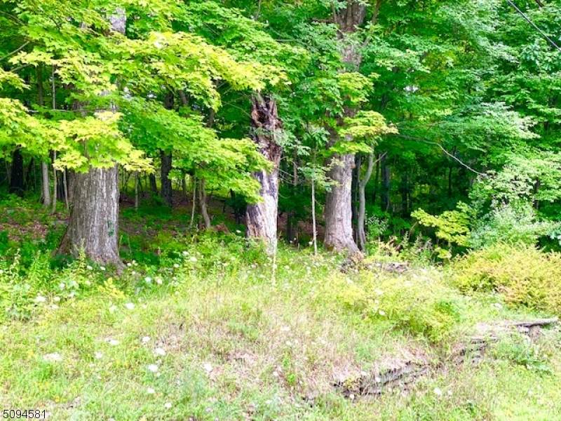 Mt Salem Rd - Photo 1