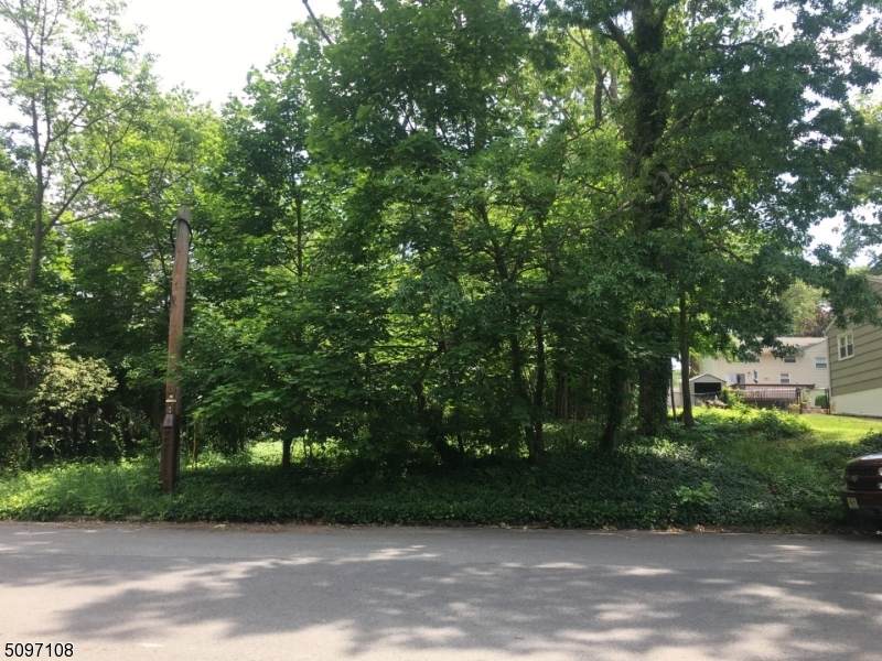 76 Montrose Ave - Photo 1