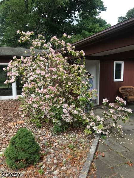 207 South Branch Road - Photo 1
