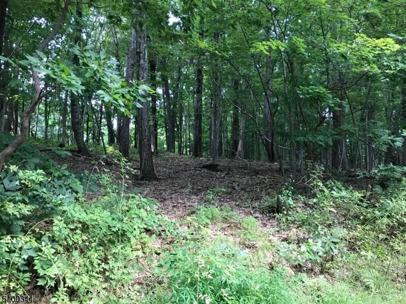 20 Mine Hill Rd - Photo 1