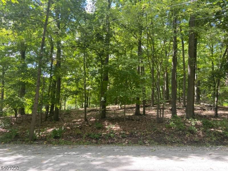 3 High Crest Dr - Photo 1