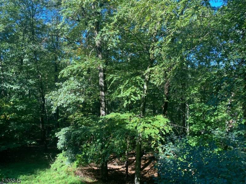 36 Lenape Dr - Photo 1