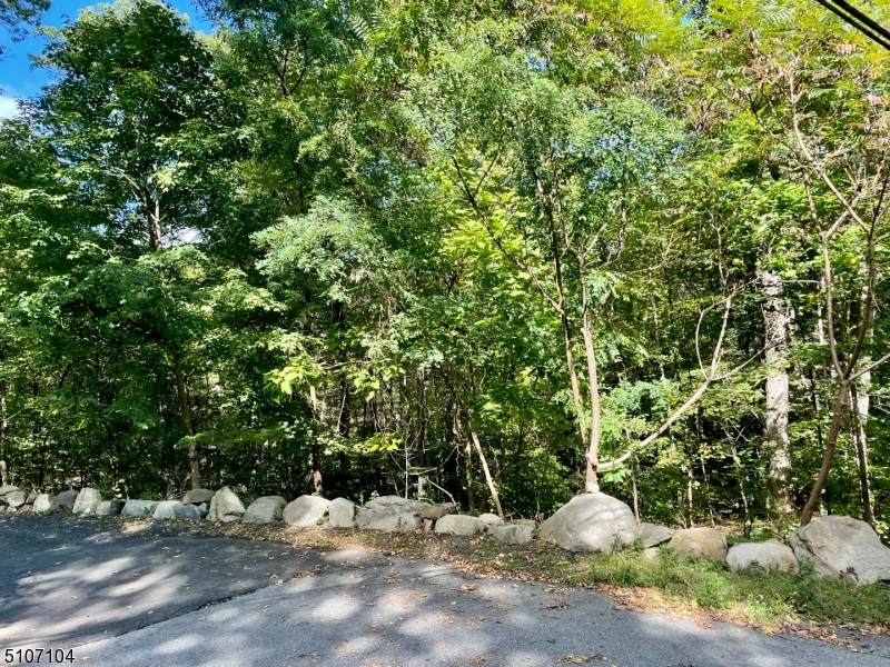 11 Split Rock Rd - Photo 1