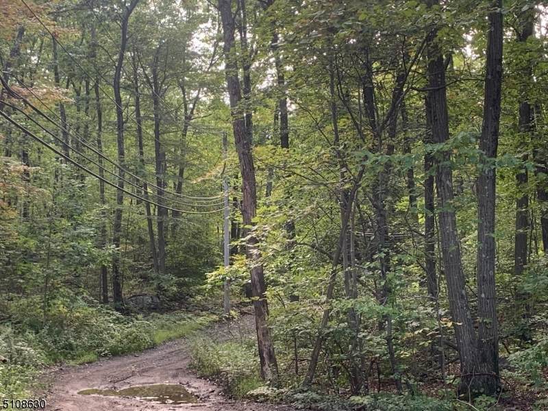 0 Mountain Road - Photo 1
