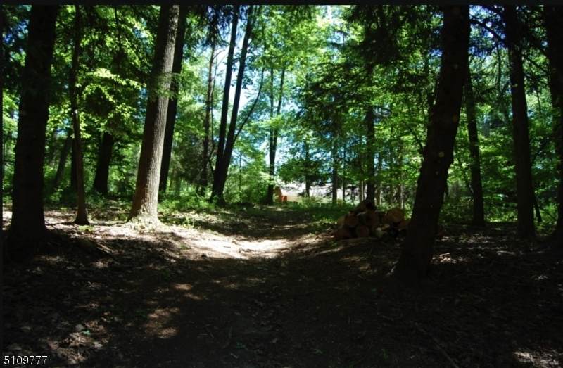 483 Mechlin Corner Rd - Photo 1