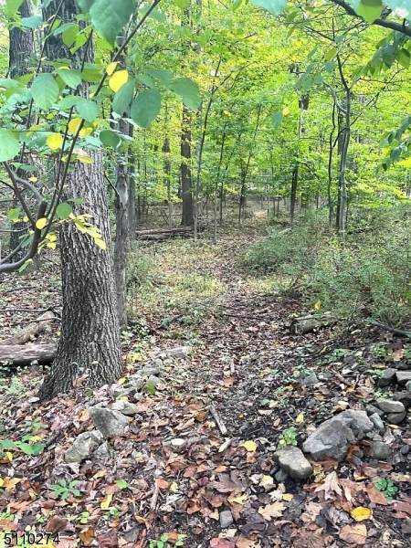 408 Antler Rd - Photo 1