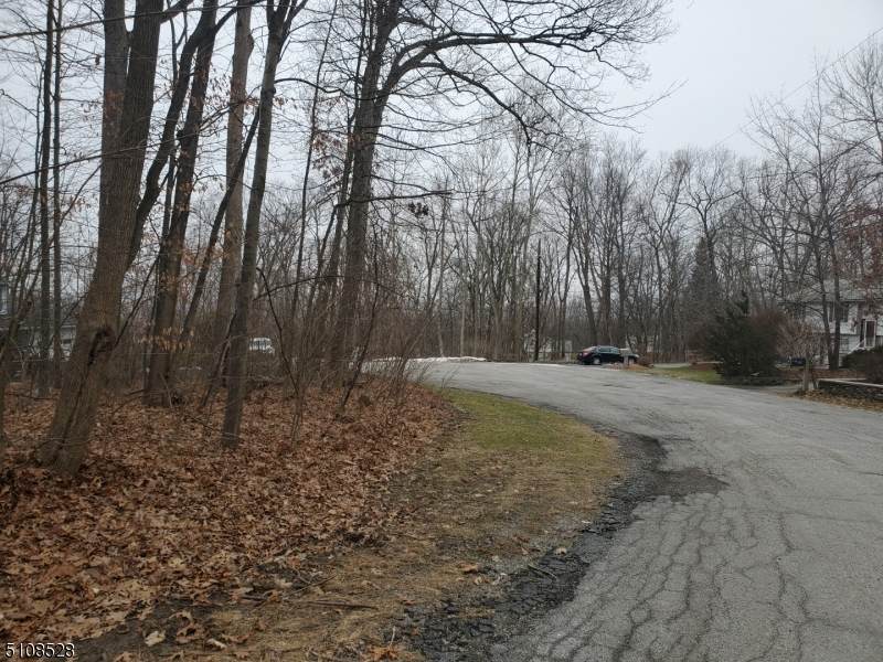 3 Wood Dale Ct - Photo 1