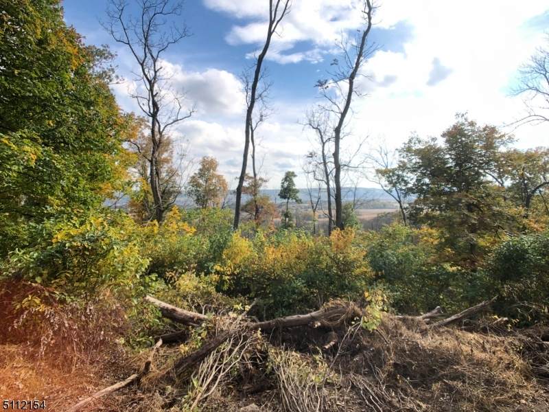 0 Asbury-Broadway Rd. - Photo 1