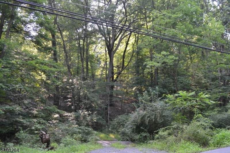 220 Hardscrabble Rd - Photo 1