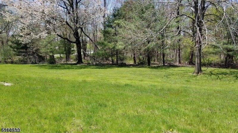 10 Cambridge Rd - Photo 1
