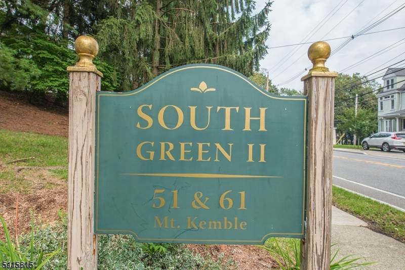 51 Mount Kemble Ave - Photo 1
