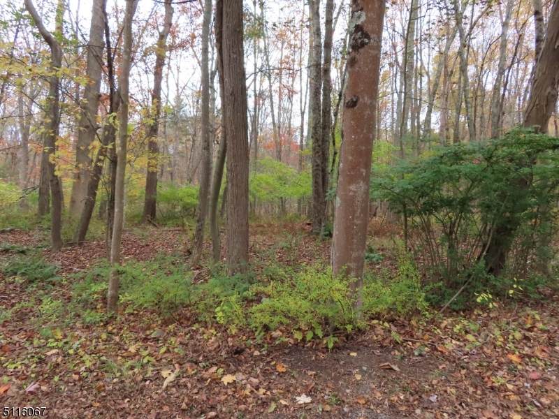241 River Rd - Photo 1