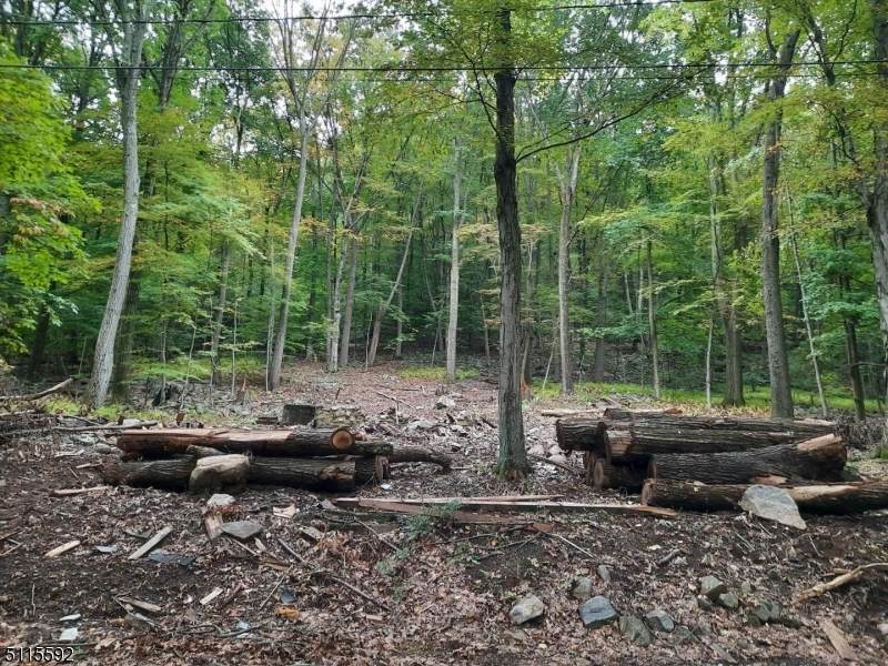 606 Hermits Ln - Photo 1