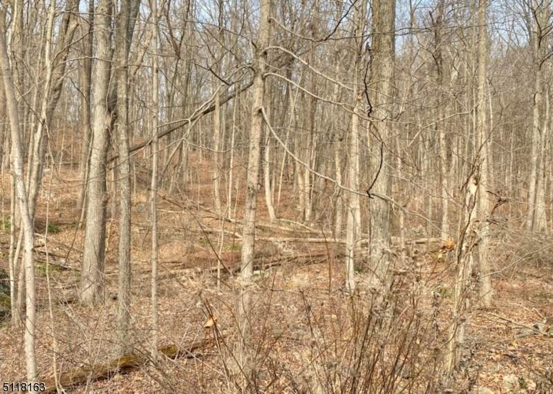 11 Sleepy Hollow Rd - Photo 1