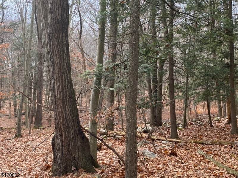 4 Deerwood - Photo 1