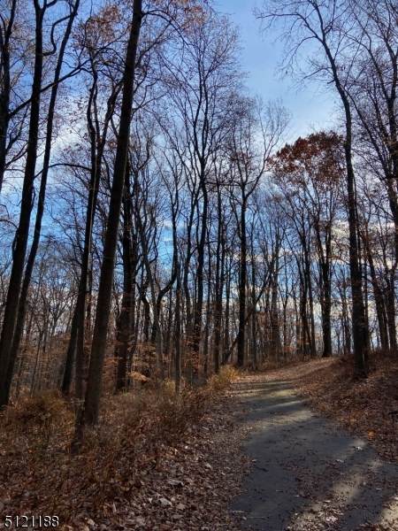 22 A Pruner Farm - Photo 1