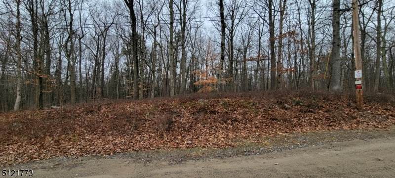 7 Black Bear Dr - Photo 1