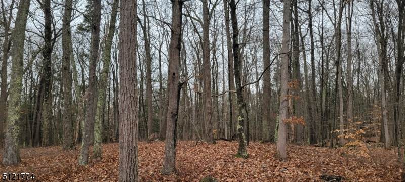 9 Black Bear Dr - Photo 1