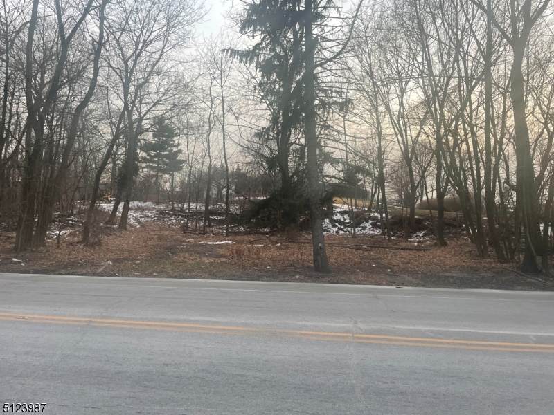 288 Pompton Rd - Photo 1