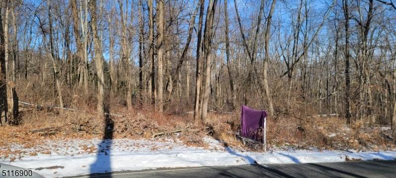 28 Danville Mountain Rd - Photo 1