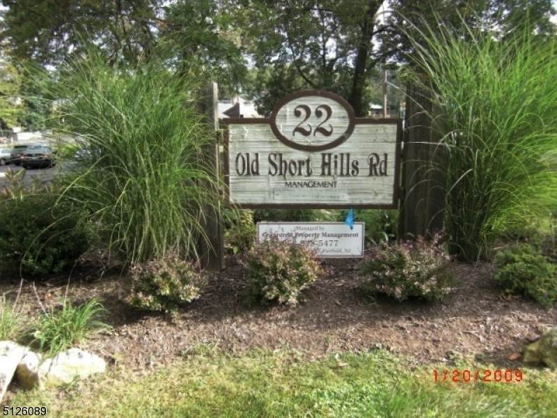 22 Old Short Hills Rd - Photo 1