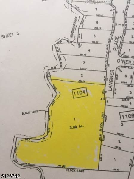 100 Langner Pl - Photo 1