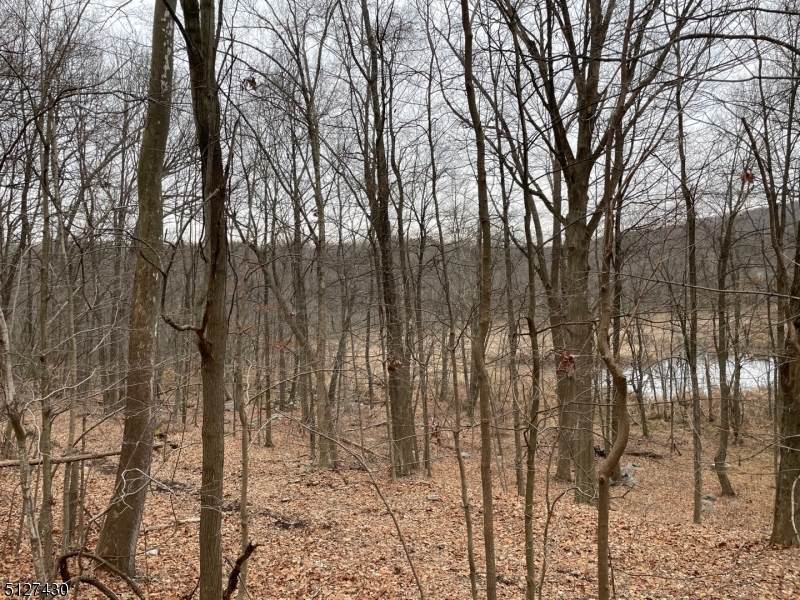 95 Seneca Lake Rd - Photo 1