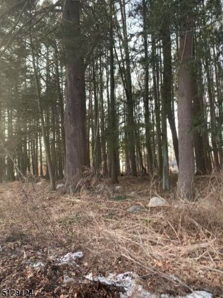618 Sleepy Hollow - Photo 1