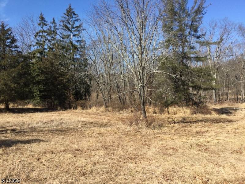 0 Little York Mount Pleas - Photo 1