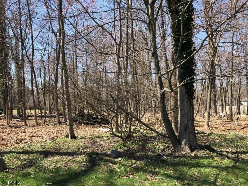 25 Peach Tree Pl - Photo 1