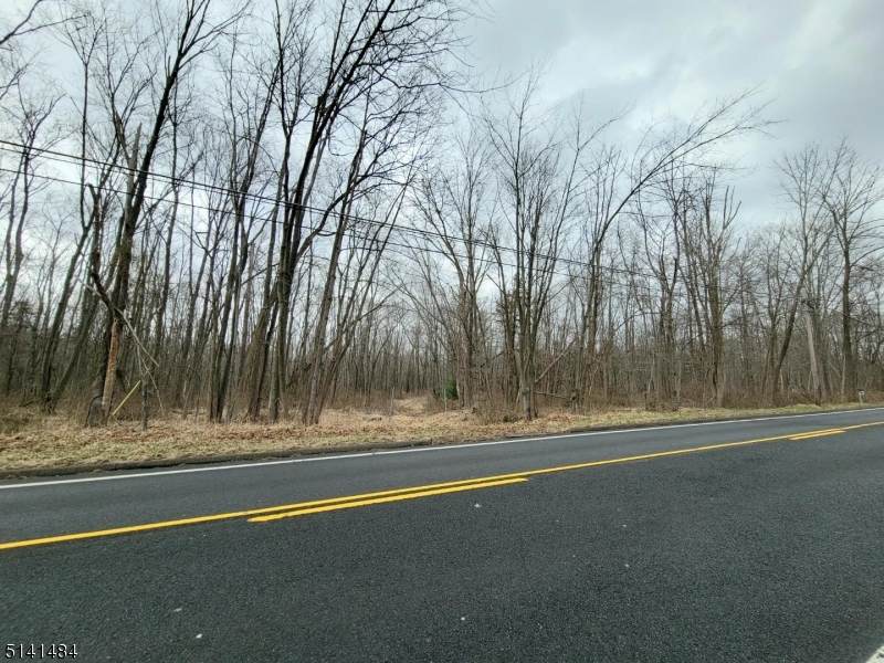 170 Schooleys Mtn Rd - Photo 1