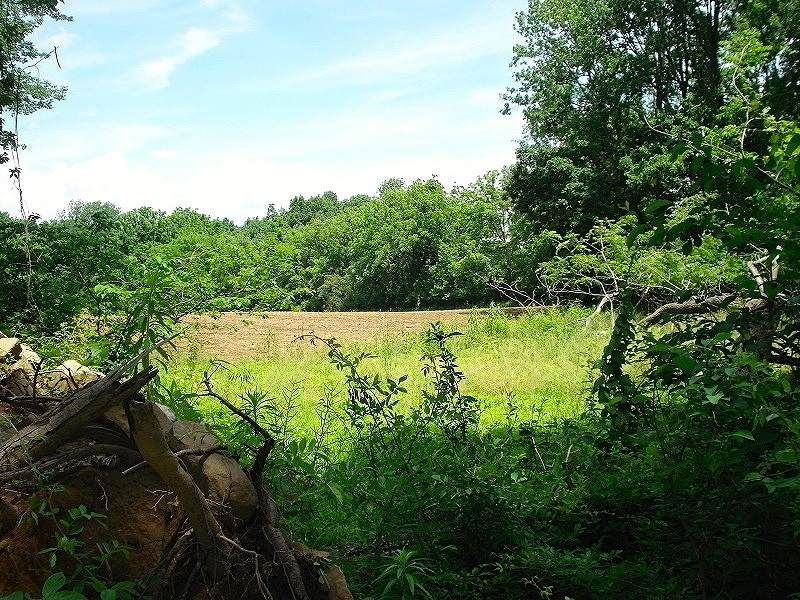 0 Mellicks Woods - Photo 1