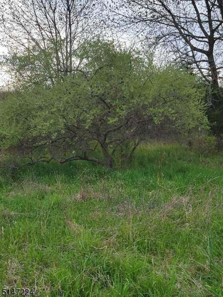 101 Rose Morrow Rd - Photo 1