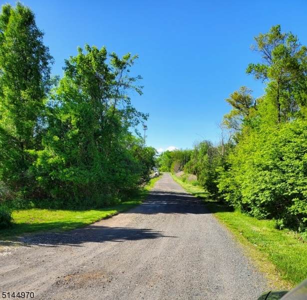 258 Amwell Rd (Private Dr) - Photo 1