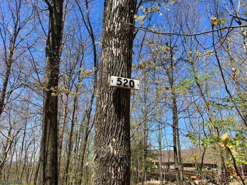 520 Grandview Dr - Photo 1