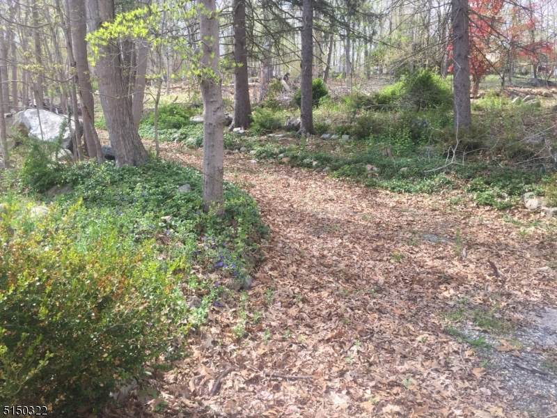 367 Amity Rd - Photo 1