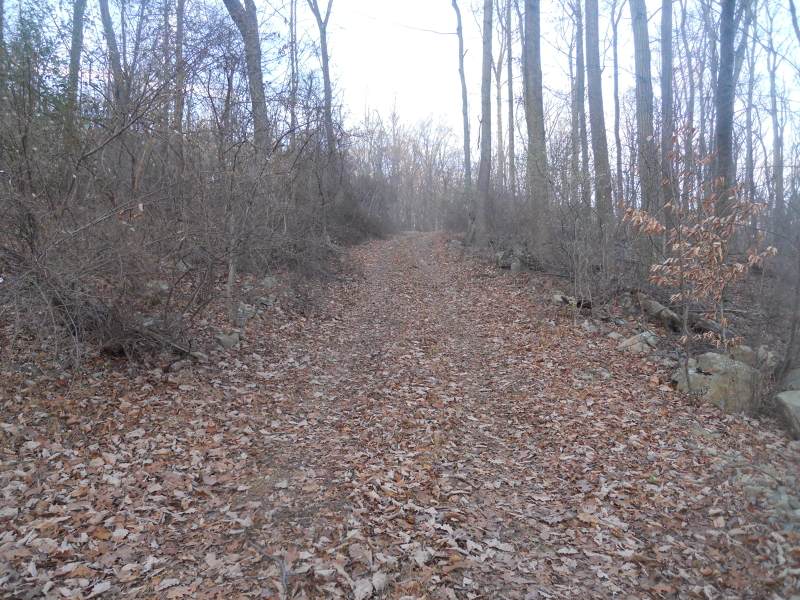 119 Black Brook Road119-120 - Photo 1