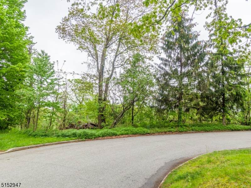 0 Post Brook Rd - Photo 1