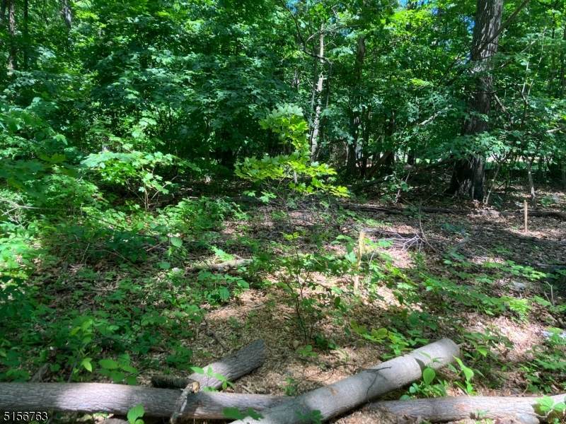 5 White Birch Dr - Photo 1