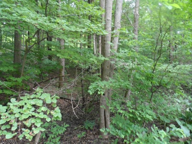 245 Kings Hwy - Photo 1
