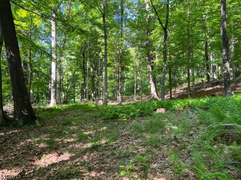 99 Millbrook Rd - Photo 1