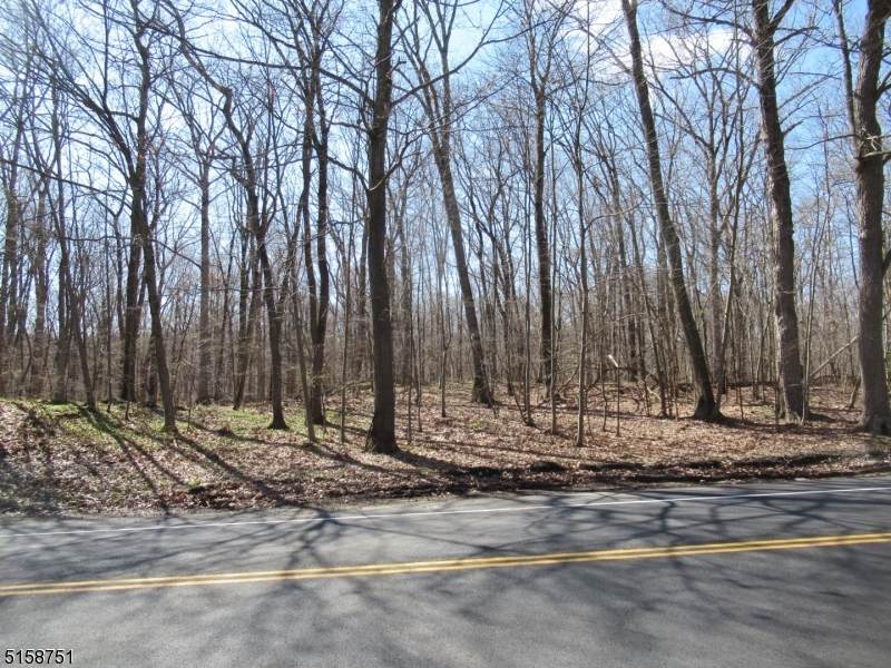 55 Sawmill Rd - Photo 1