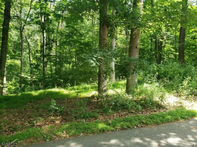 8 Cub Lake Rd - Photo 1