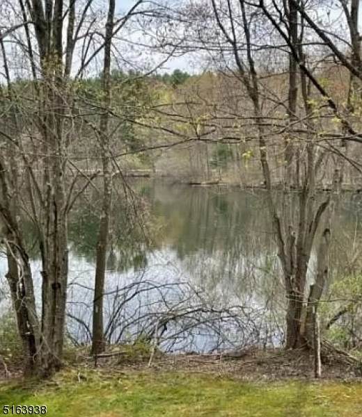 1 Black Walnut Ln - Photo 1